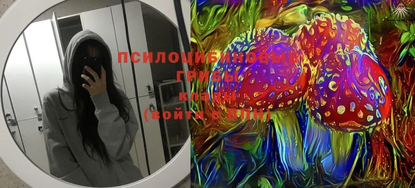 тгк Абинск