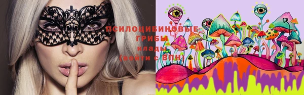 PSILOCYBIN Абдулино