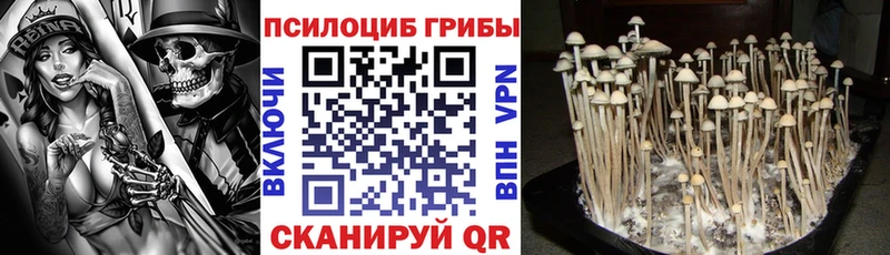Галлюциногенные грибы GOLDEN TEACHER закладка Зуевка